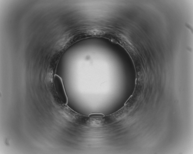 X0000096470368200802071902