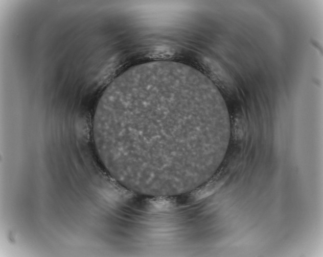 X0000096470370200802071902