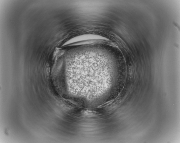 X0000096470372200802071902