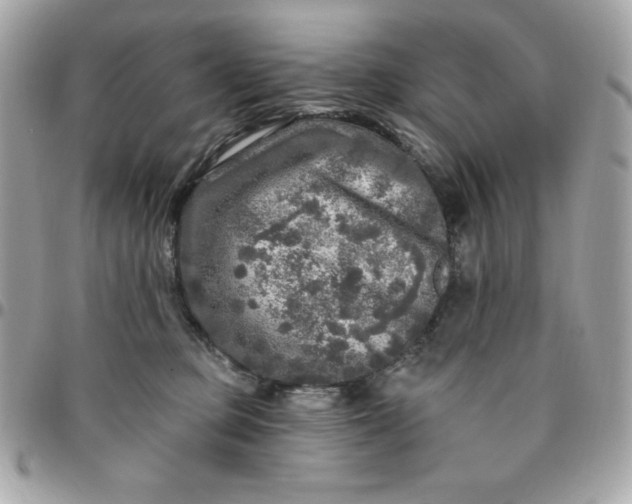 X0000096470373200802071902