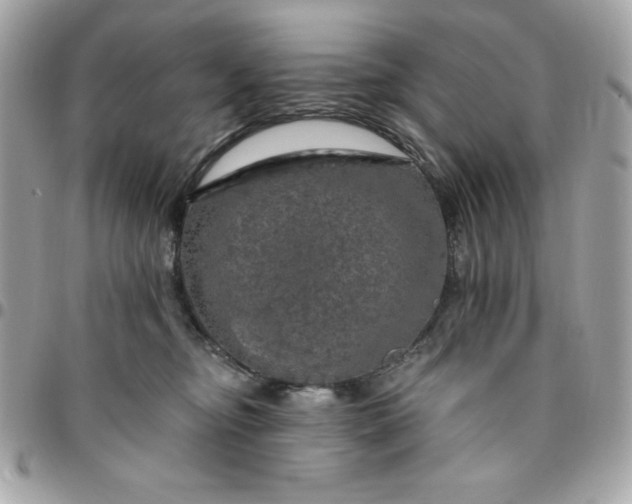 X0000096470374200802071902