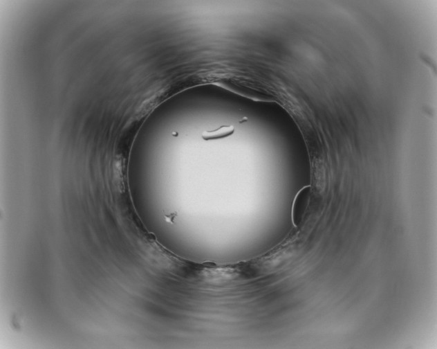 X0000096470378200802071902