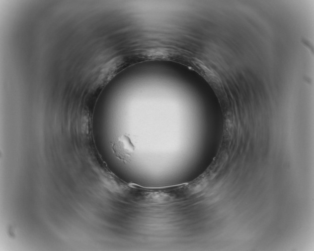 X0000096470379200802071902