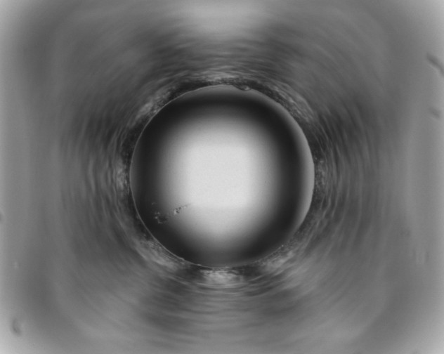 X0000096470380200802071902