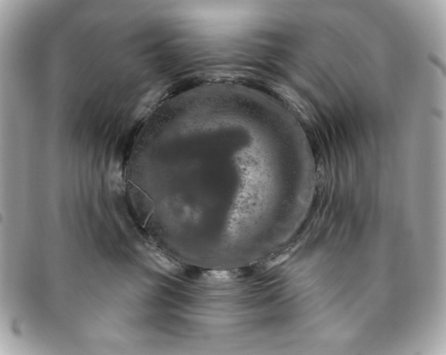 X0000096470381200802071902