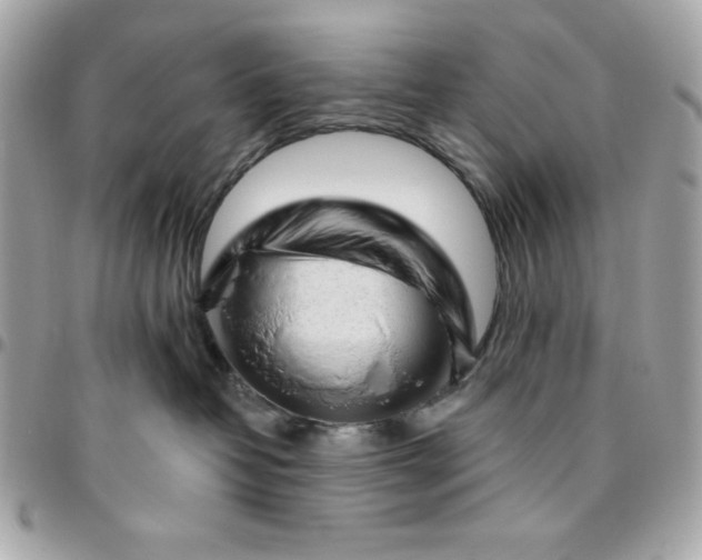 X0000096470382200802071902