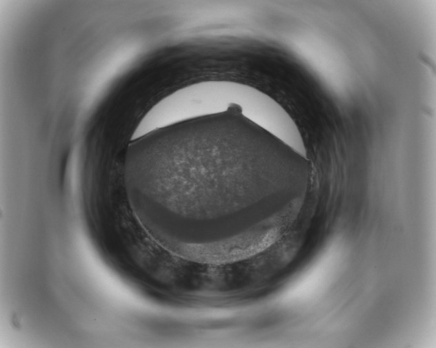 X0000096470383200802071902