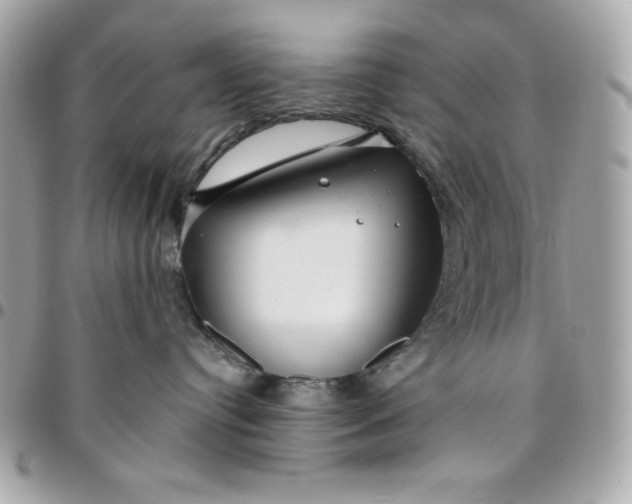 X0000096470384200802071902