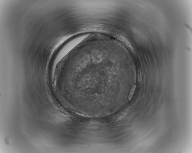 X0000096470388200802071901