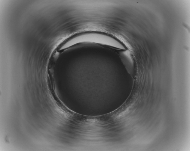 X0000096470391200802071901