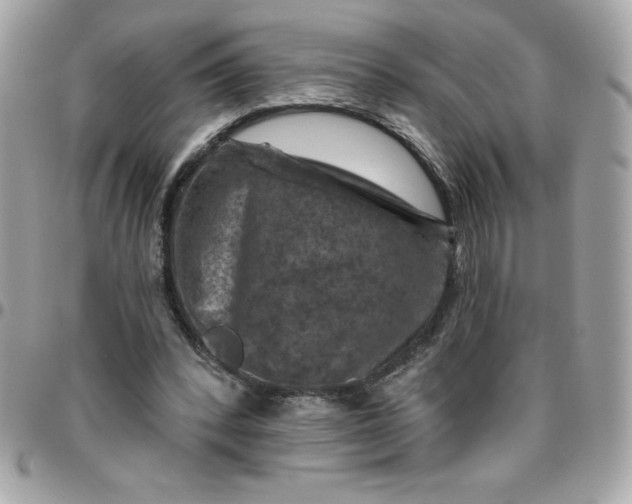 X0000096470392200802071901