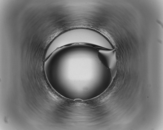 X0000096470393200802071901