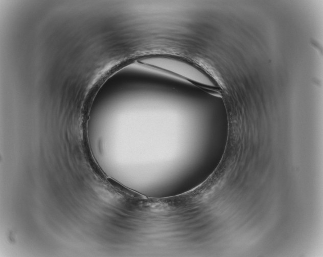 X0000096470395200802071901