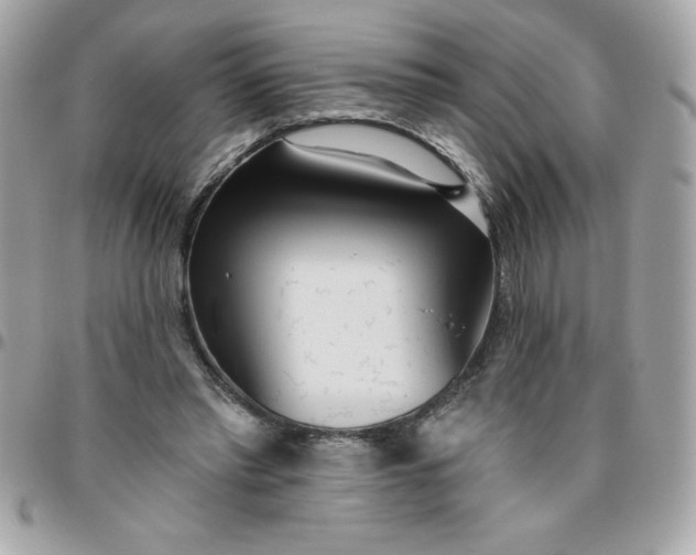 X0000096470397200802071901