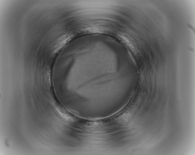 X0000096470398200802071901