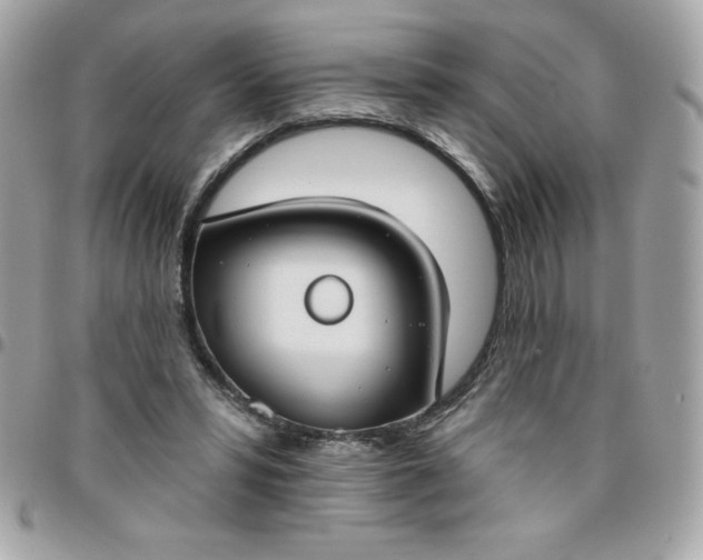 X0000096470399200802071901