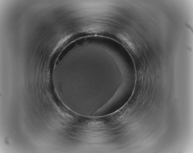 X0000096470400200802071901