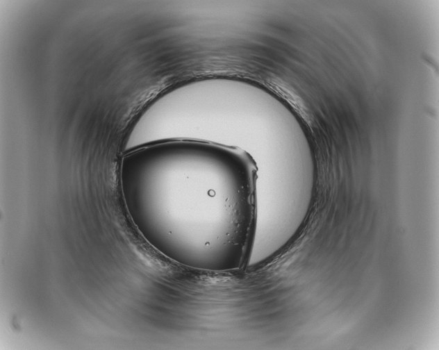 X0000096470401200802071901