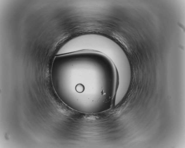 X0000096470407200802071901