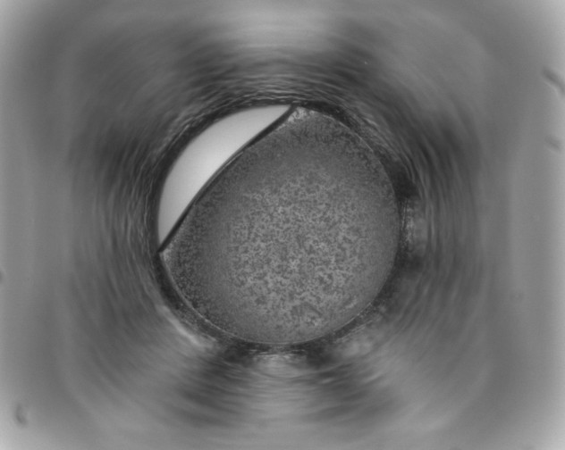 X0000096470408200802071901