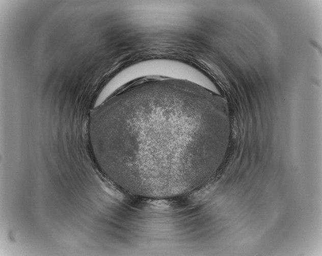 X0000096470409200802071901