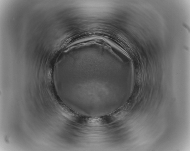 X0000096470410200802071901