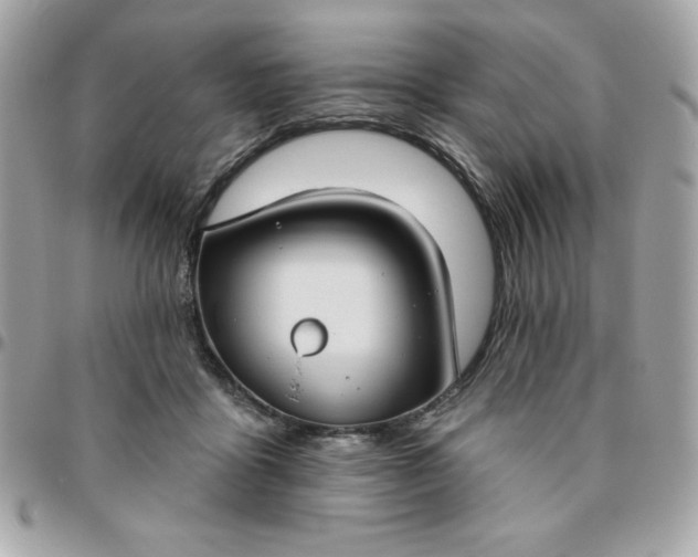 X0000096470411200802071901