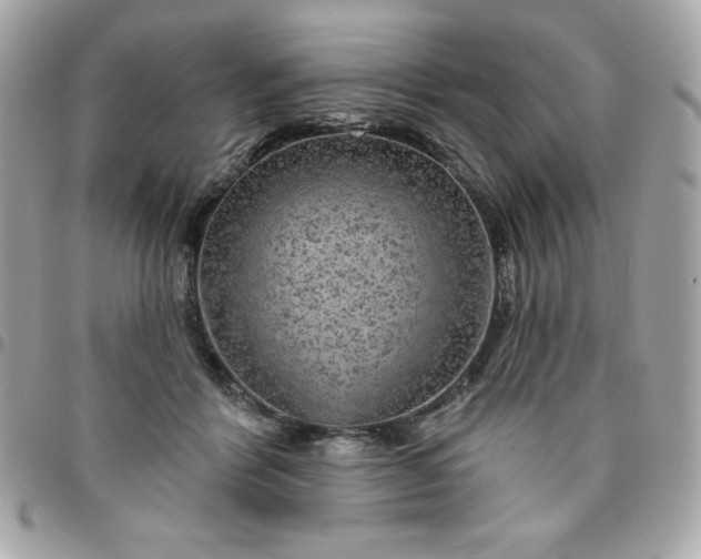 X0000096470412200802071901