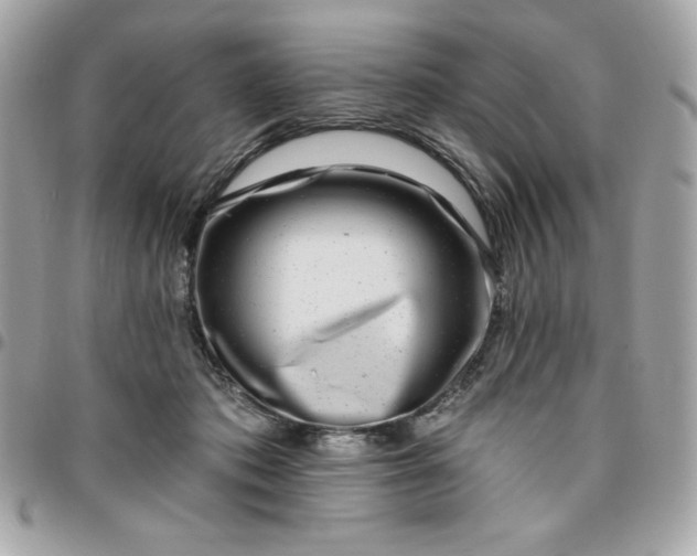 X0000096470413200802071901