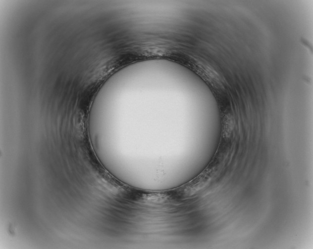 X0000096470414200802071901