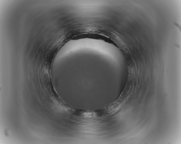 X0000096470415200802071901