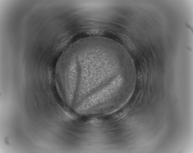 X0000096470416200802071901