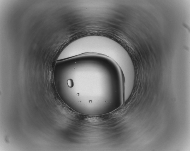 X0000096470417200802071901