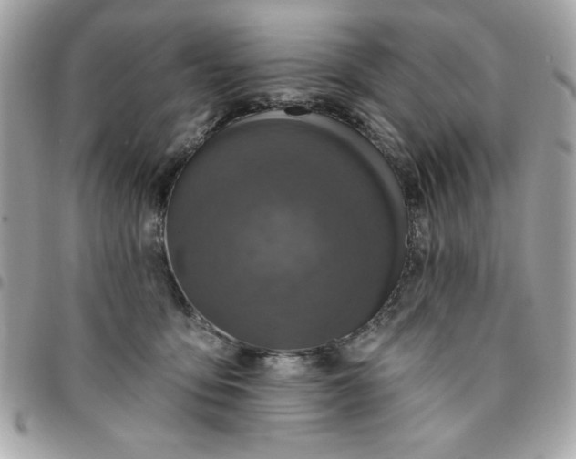 X0000096470419200802071901