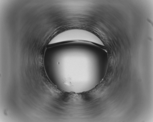 X0000096470421200802071901