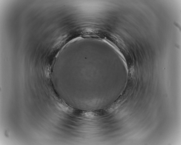 X0000096470423200802071901