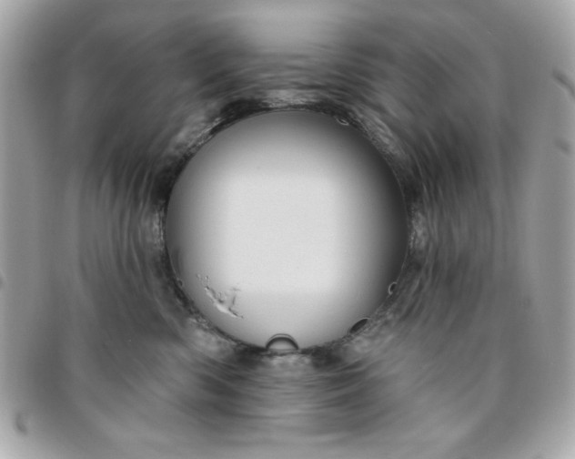 X0000096470426200802071901