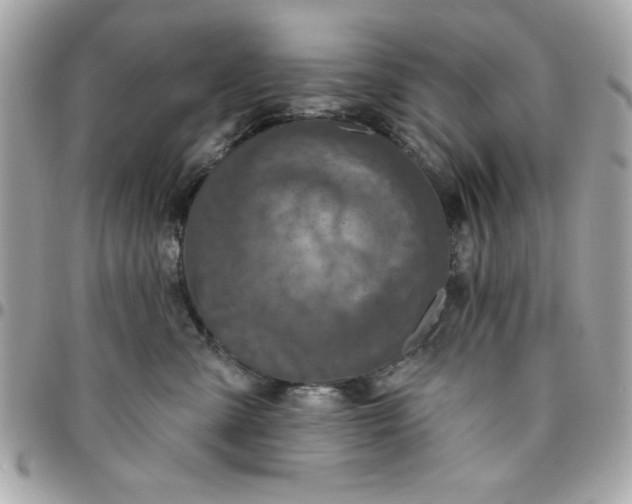 X0000096470427200802071901