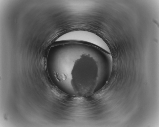 X0000096470428200802071900