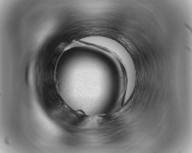 X0000096470429200802071900