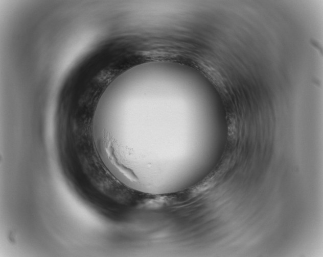 X0000096470430200802071900