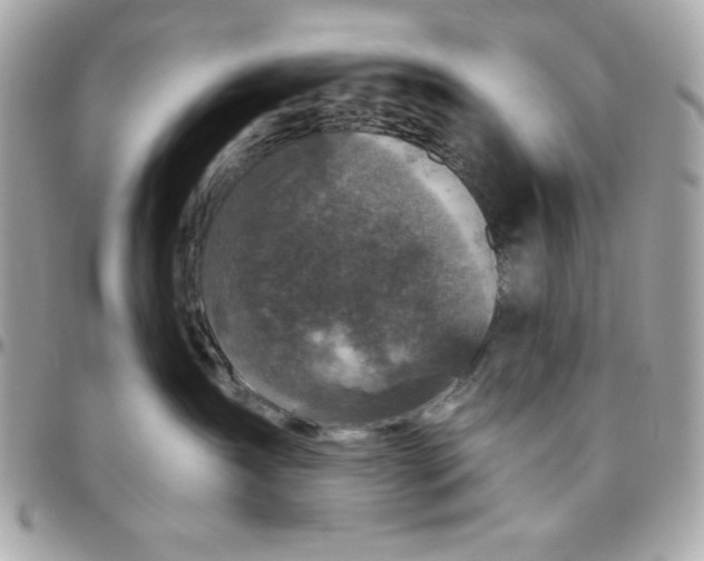 X0000096470431200802071900