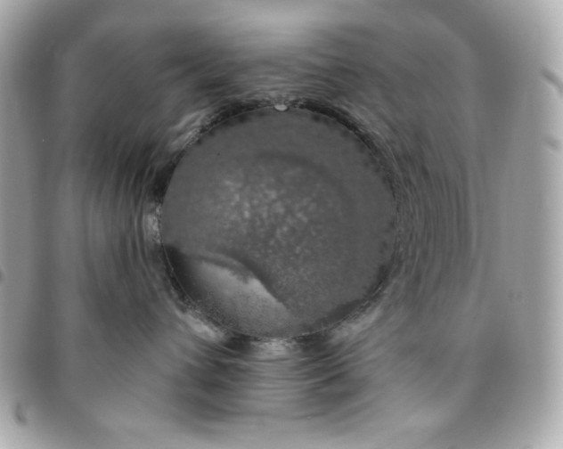 X0000096470432200802071900