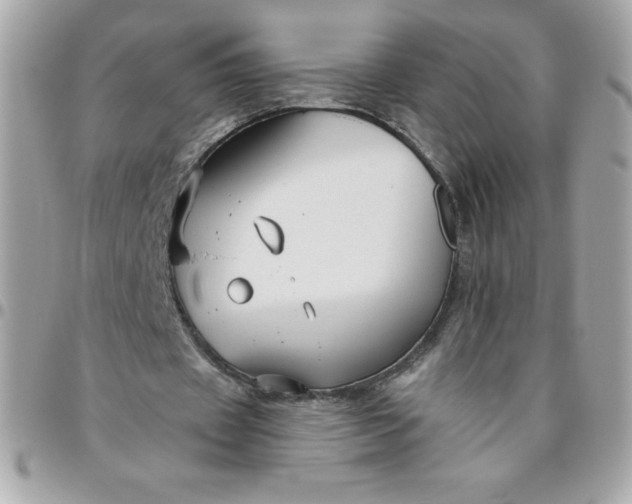 X0000096470433200802071900