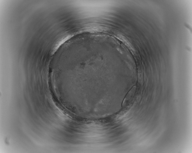 X0000096470434200802071900