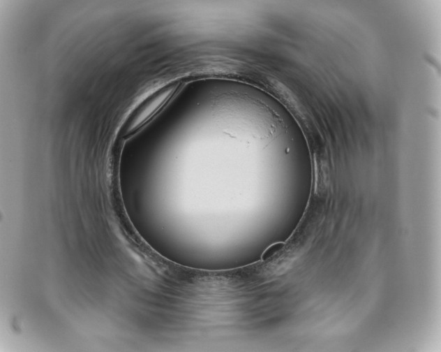 X0000096470435200802071900