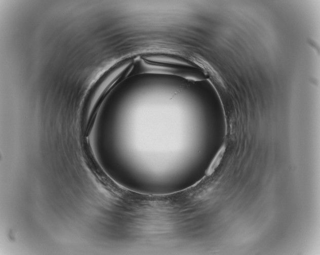 X0000096470436200802071900