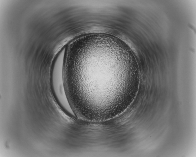 X0000096470437200802071900