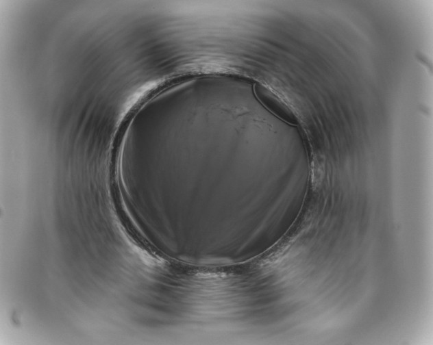 X0000096470438200802071900