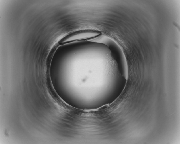 X0000096470440200802071900